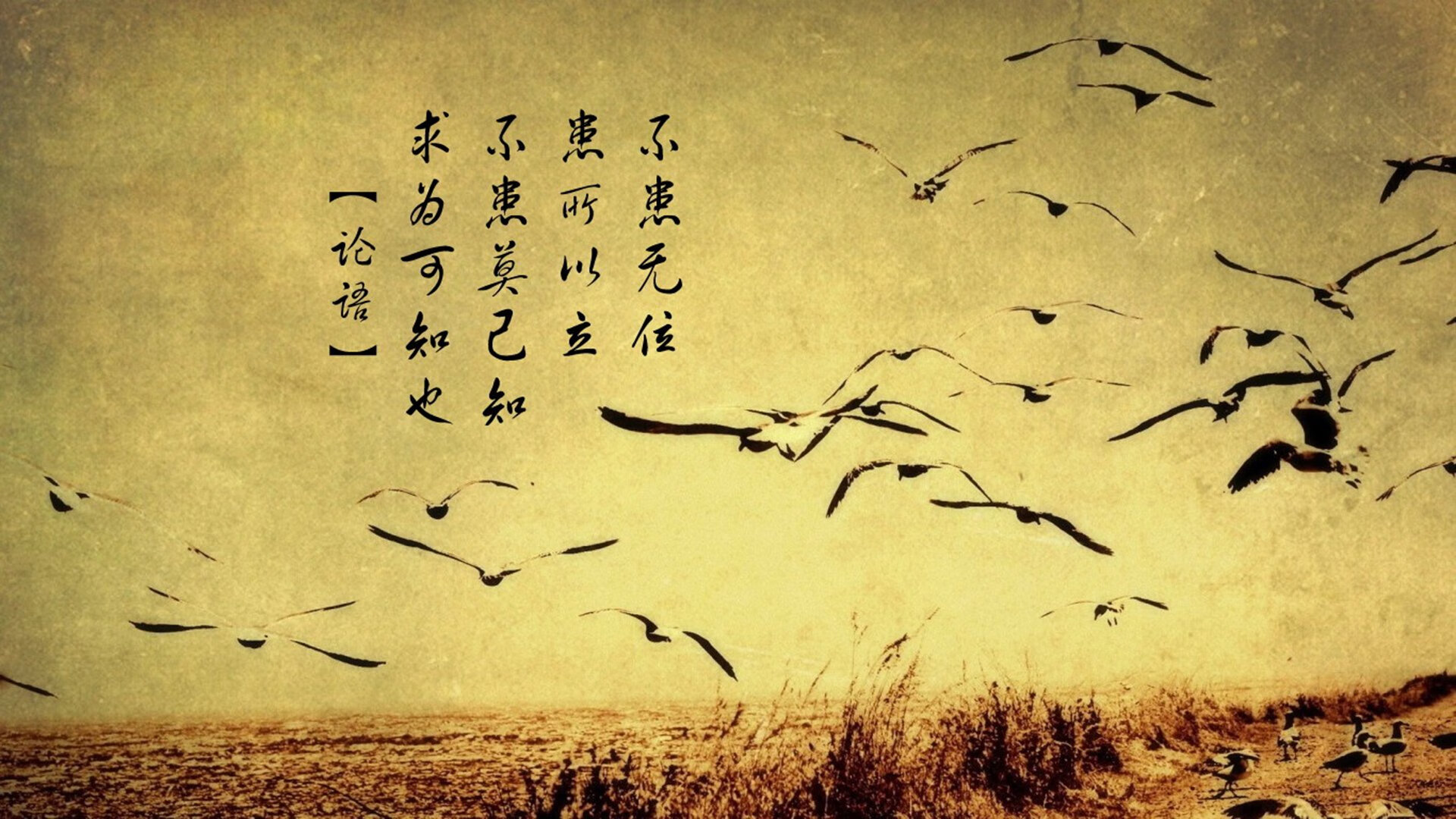 热血沸腾！FPX赛场狂欢与莱万七赛季传奇共绘竞技盛宴