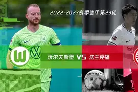  沃尔夫斯堡迎社区盾关键赛，冲刺阶段队长鼓劲，引发热议，临场指挥获称赞